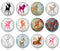 Handmade Round Photo Glass Cabochon 2019B