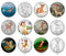 Handmade Round Photo Glass Cabochon 2022B