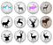 Handmade Round Photo Glass Cabochon deer 2026B