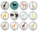 Handmade Round Photo Glass Cabochon animal 2029