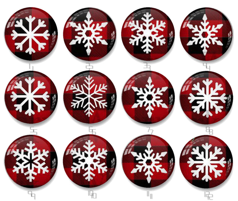 Handmade Round Photo Glass Cabochon 2509B