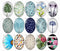 Handmade oval Photo Glass Cabochons Plant flower B232