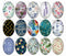 Handmade oval Photo Glass Cabochons Plant flower B239
