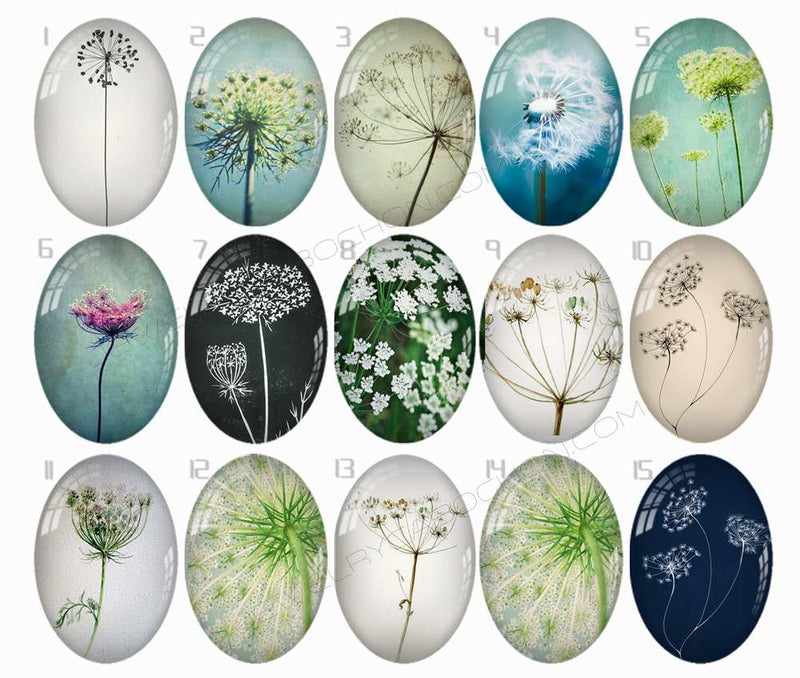 Handmade oval Photo Glass Cabochons B263