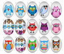 Handmade oval Photo Glass Cabochons Animal owl B509