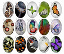 Handmade oval Photo Glass Cabochons B542