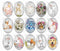 Handmade oval Photo Glass Cabochons animal B695