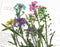 1pcs Handmade real Resin pressed flower pendant necklace