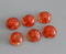 10pcs red flower Resin Pressed flower Cabochons, Real dried flowers Cabochon