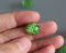 10pcs green flower Resin Pressed flower Cabochons, Real dried flowers Cabochons