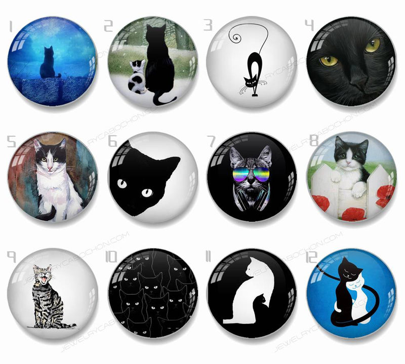 Handmade Round Photo Glass Cabachons Animal cat 814B