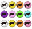 Handmade Round Photo Glass Cabachons Animal 832B