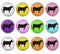 Handmade Round Photo Glass Cabachons Animal 832B