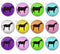Handmade Round Photo Glass Cabachons Animal 832B