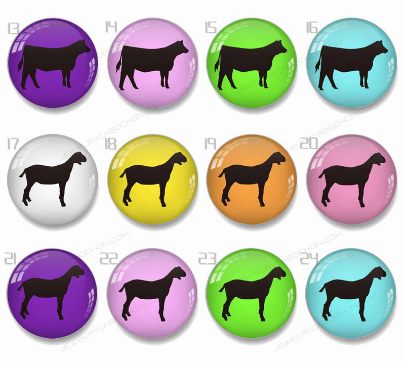 Handmade Round Photo Glass Cabachons Animal 832B