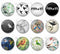 Handmade Round Photo Glass Cabachons Animal bird 847B
