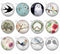 Handmade Round Photo Glass Cabachons Animal bird 847B