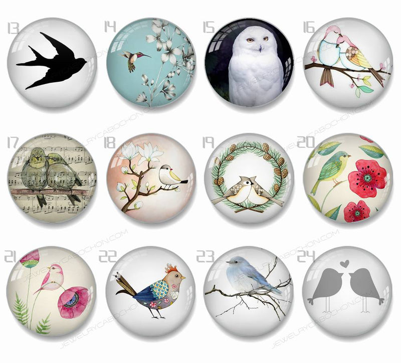 Handmade Round Photo Glass Cabachons Animal bird 847B