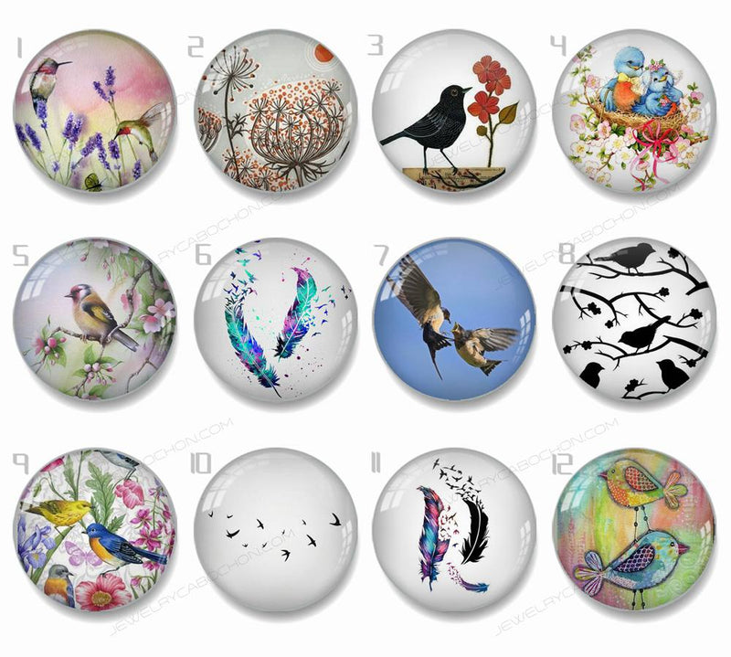 Handmade Round Photo Glass Cabachons Animal bird 851B