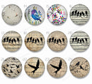 Handmade Round Photo Glass Cabachons Animal bird 854B