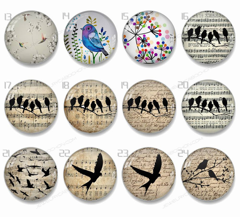 Handmade Round Photo Glass Cabachons Animal bird 854B