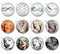 Handmade Round Photo Glass Cabachons Pattern 863B