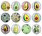 Handmade Round Photo Glass Cabochon 2019