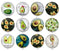 Handmade Round Photo Glass Cabochon 2024
