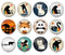 Handmade Round Photo Glass Cabochon 2043
