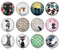 Handmade Round Photo Glass Cabochon 2047