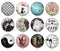Handmade Round Photo Glass Cabochon 2051