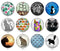 Handmade Round Photo Glass Cabochon 2054