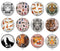 Handmade Round Photo Glass Cabochon 2068
