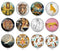 Handmade Round Photo Glass Cabochon 2069