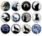 Handmade Round Photo Glass Cabochon 2073