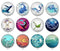 Handmade Round Photo Glass Cabochon 2103