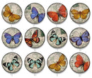 Handmade Round Photo Glass Cabochon 2213