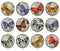 Handmade Round Photo Glass Cabochon 2213
