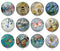 Handmade Round Photo Glass Cabochon 2216