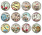 Handmade Round Photo Glass Cabochon 2221