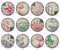 Handmade Round Photo Glass Cabochon 2222