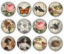 Handmade Round Photo Glass Cabochon 2223