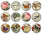 Handmade Round Photo Glass Cabochon 2224