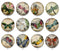 Handmade Round Photo Glass Cabochon 2226
