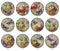Handmade Round Photo Glass Cabochon 2232