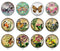 Handmade Round Photo Glass Cabochon 2233