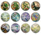 Handmade Round Photo Glass Cabochon 2234