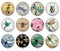Handmade Round Photo Glass Cabochon 2235