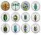 Handmade Round Photo Glass Cabochon 2237