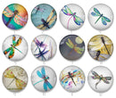 Handmade Round Photo Glass Cabochon 2238
